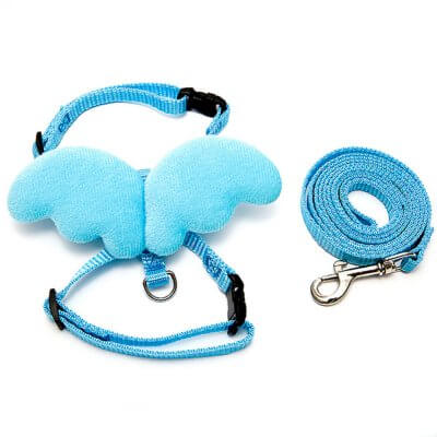 Фото: Шлейка для собак и кошек Angel с поводком, M голубой-1 Шлейка для собак и кошек Angel с поводком, M голубой-1